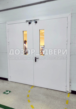 Противопожарная двупольная дверь с доводчиками