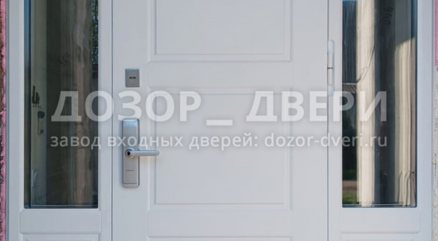 Коттеджная дверь со стеклянными фрамужными вставками, фото №1